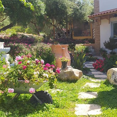 Myparadise-Farm Villa In The Centre Of South Crete 칼라마키 외부 사진