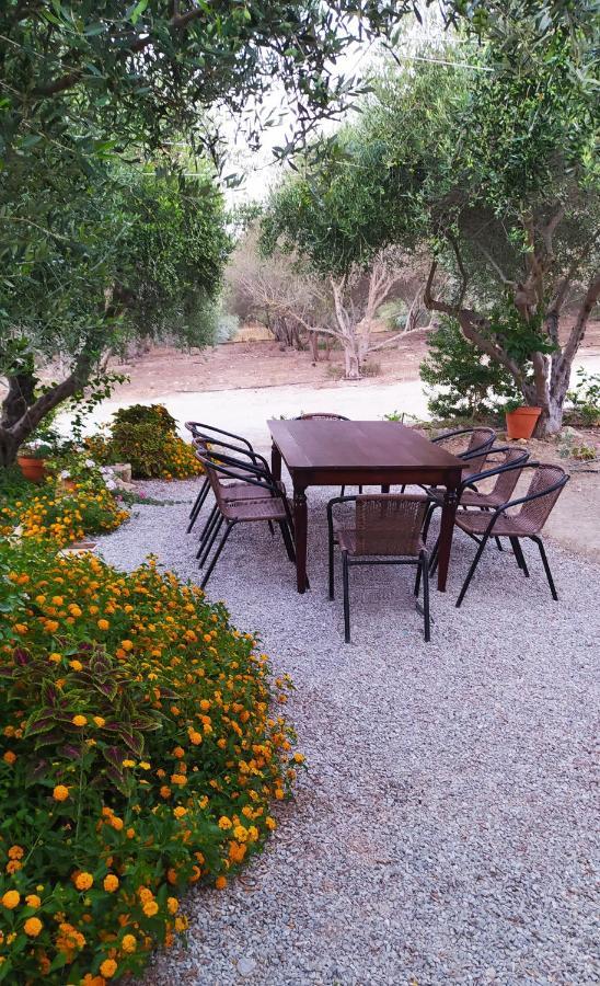 Myparadise-Farm Villa In The Centre Of South Crete 칼라마키 외부 사진