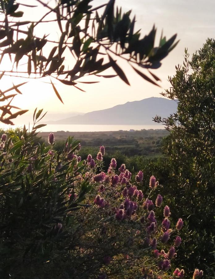 Myparadise-Farm Villa In The Centre Of South Crete 칼라마키 외부 사진