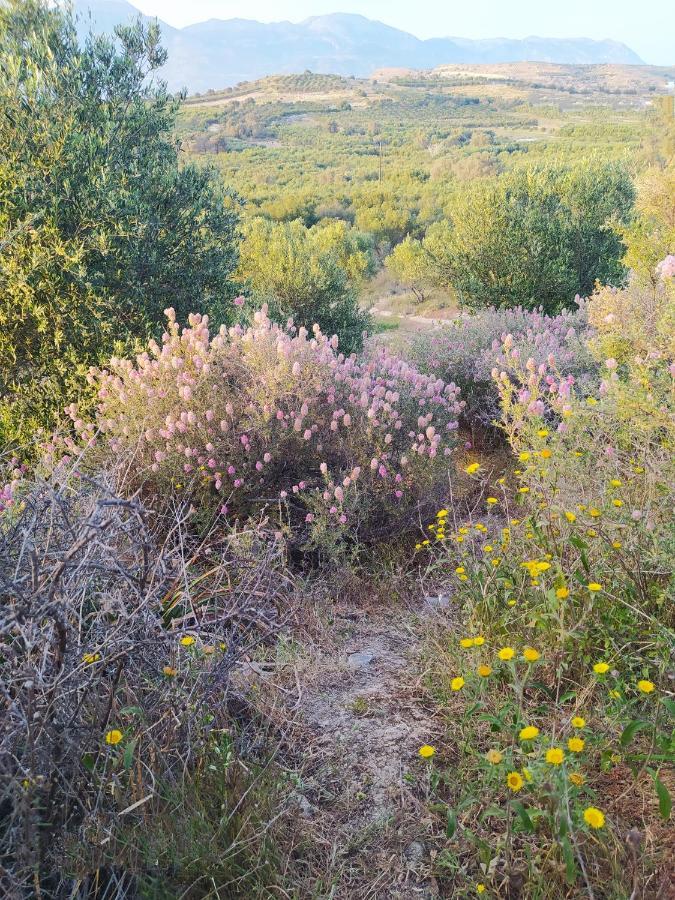 Myparadise-Farm Villa In The Centre Of South Crete 칼라마키 외부 사진