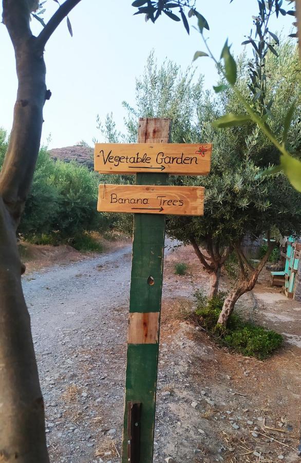 Myparadise-Farm Villa In The Centre Of South Crete 칼라마키 외부 사진